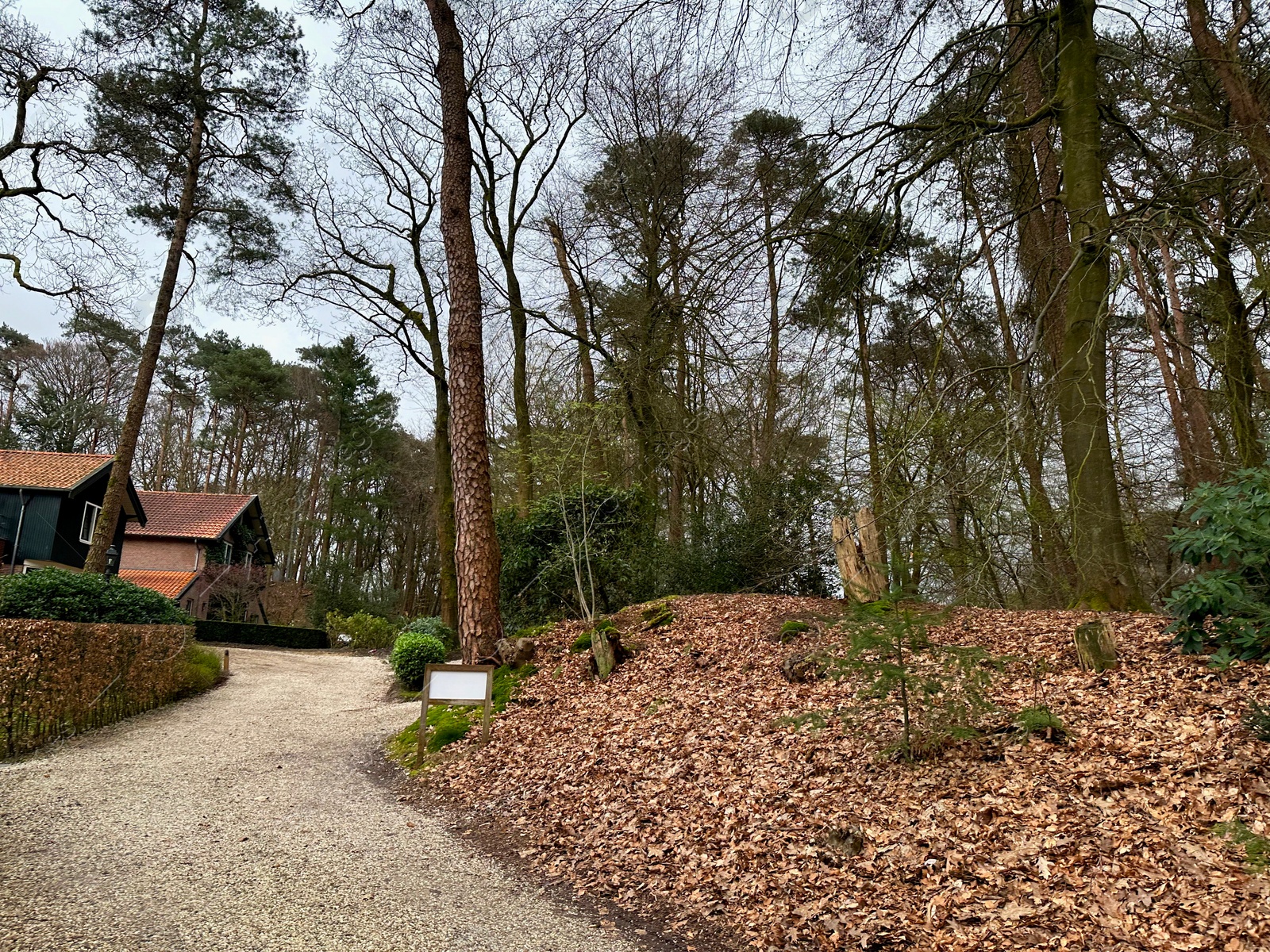 Photo of Beautiful trees, fallen leaves, pathway and houses outdoors