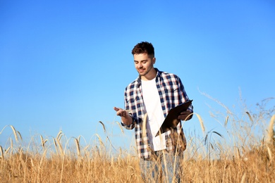 Agronomist with clipboard in wheat field. Cereal grain crop