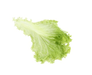 Photo of Leaf of fresh lettuce on white background. Salad greens