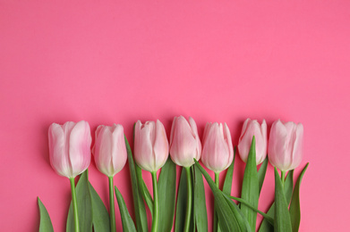 Photo of Beautiful spring tulips on pink background, flat lay. Space for text