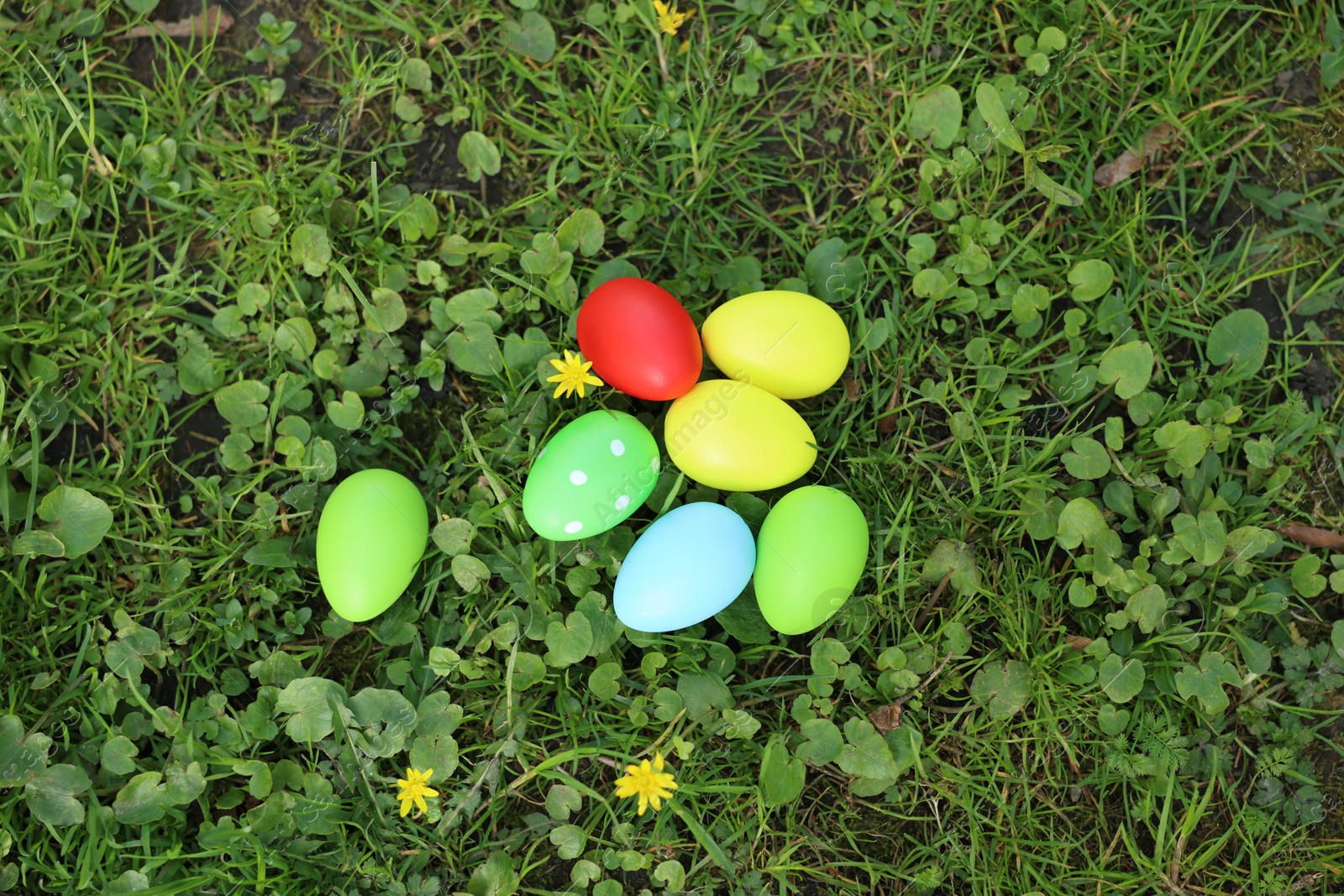 Photo of Easter celebration. Painted eggs on green grass, top view