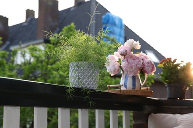 Balcony garden. Different plants growing on railings outdoors