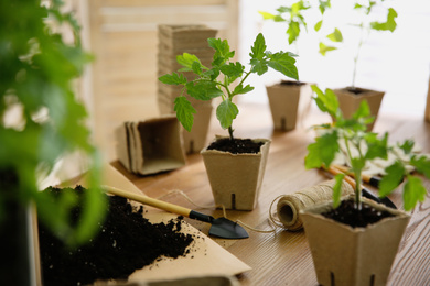 Photo of Soil, gardening trowel, rope and green tomato seedling in peat pot on wooden table