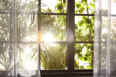 Beautiful view through window on garden in morning