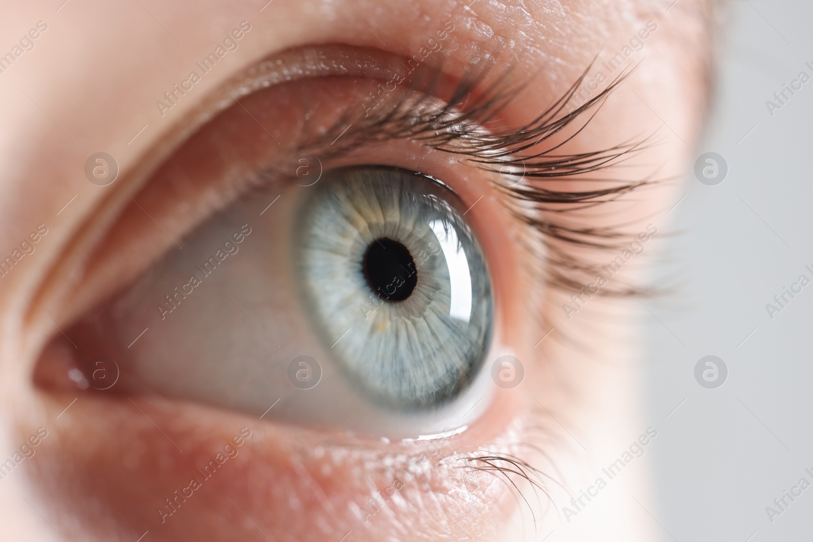 Photo of Macro photo of woman with beautiful eyes on light background