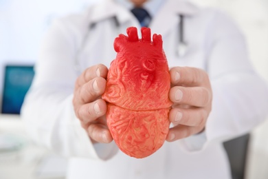 Photo of Male doctor holding heart model in clinic, closeup. Cardiology center