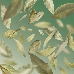 Image of Dry bay leaves falling on green gradient background