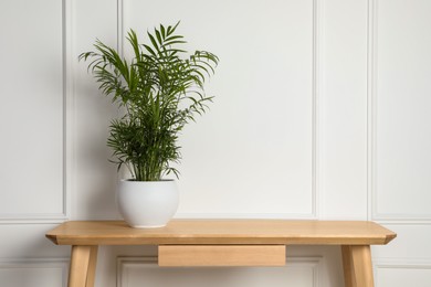 Photo of Beautiful chamaedorea plant in pot on wooden table indoors, space for text. House decor