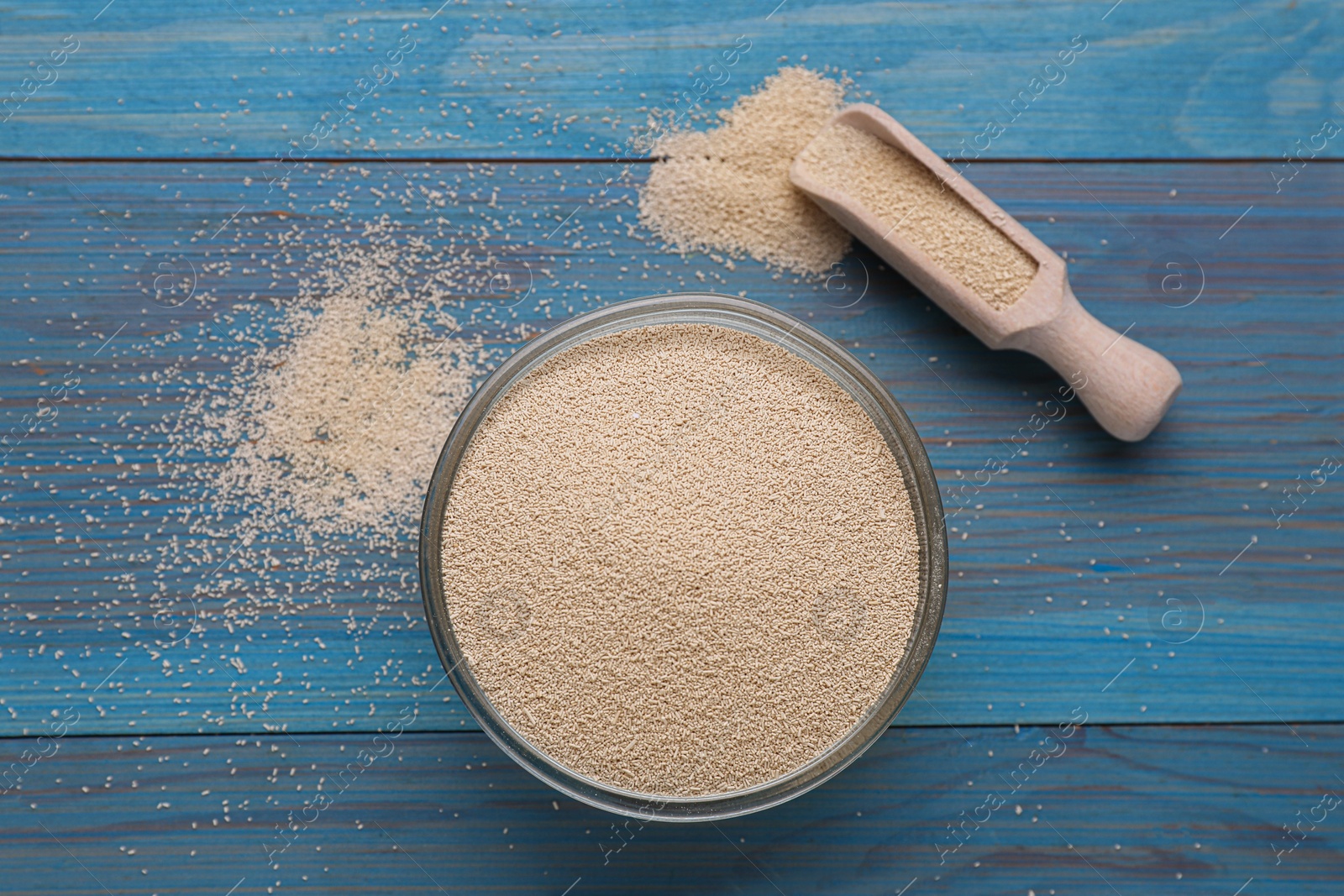 Photo of Bowl and scoop with active dry yeast on light blue wooden table, flat lay