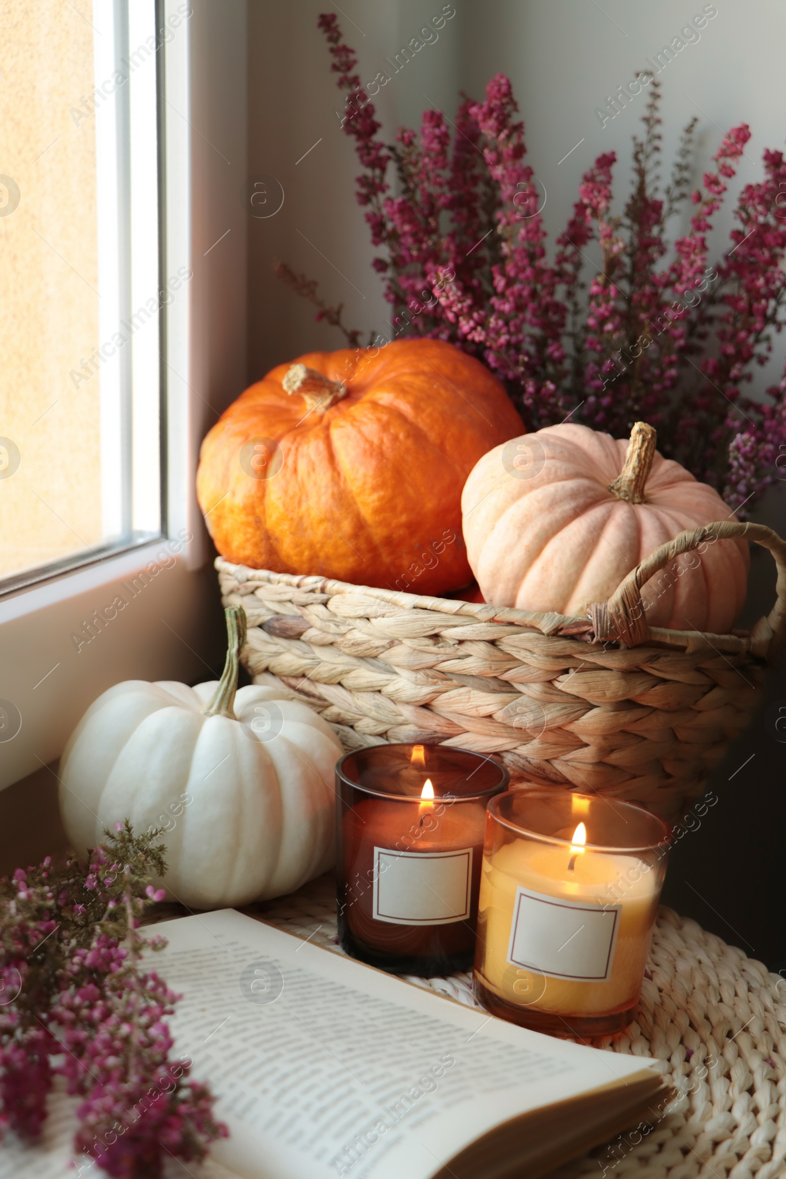 Photo of Beautiful heather flowers, burning candles, open book and wicker basket with pumpkins near window indoors
