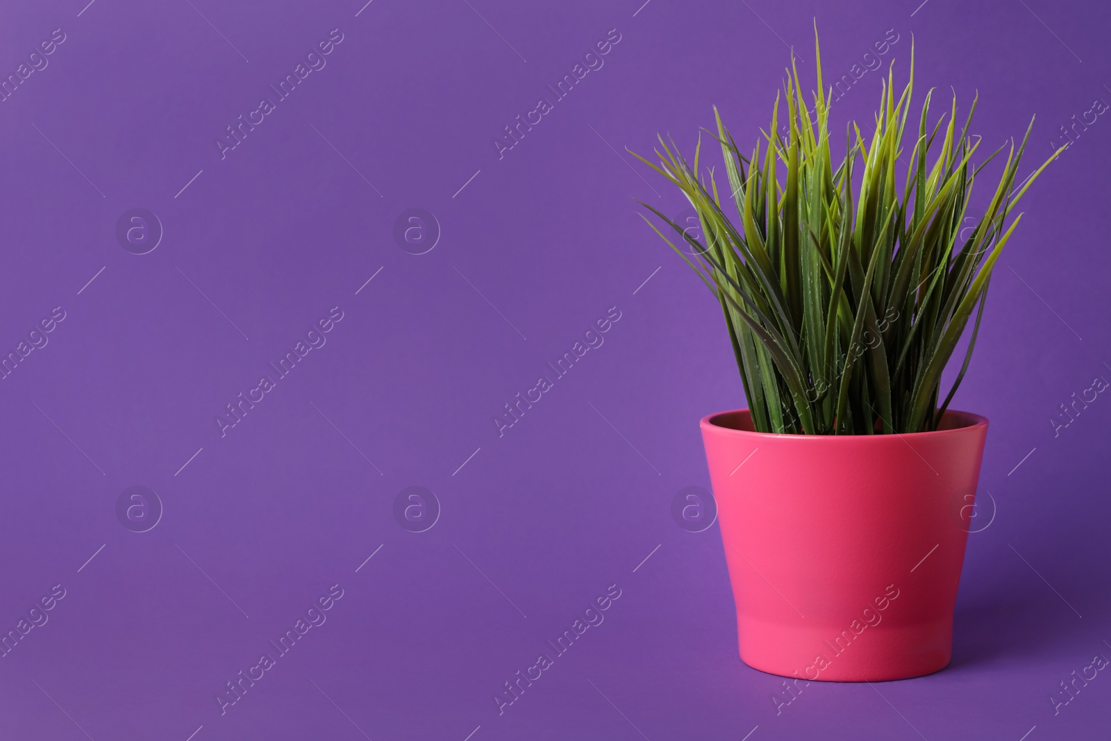 Photo of Beautiful artificial plant in flower pot on purple background, space for text