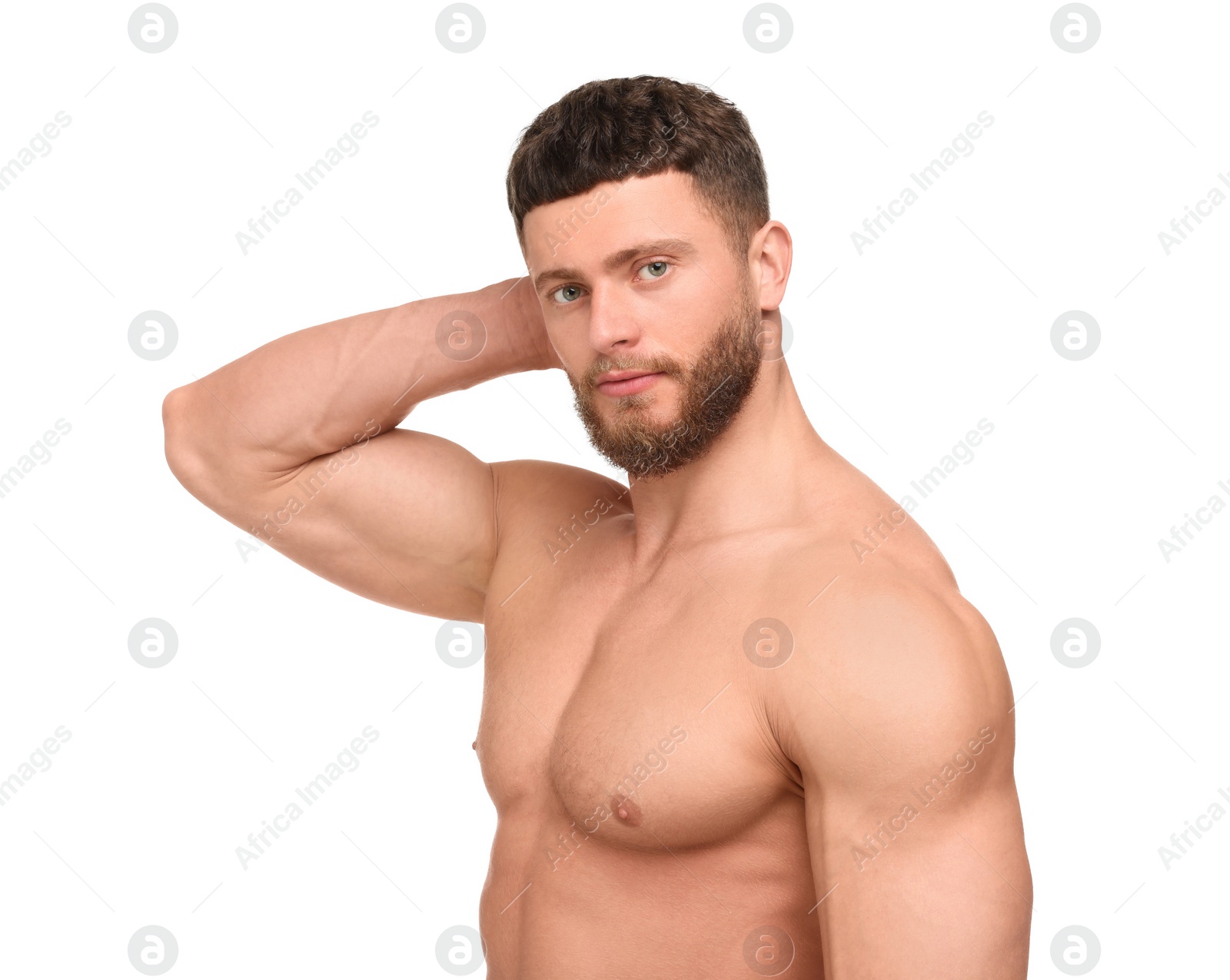 Photo of Handsome muscular man isolated on white. Sexy body