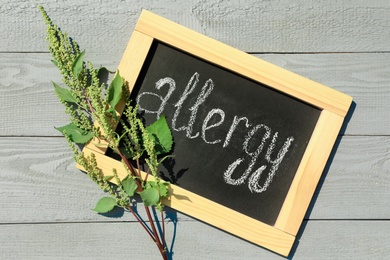 Photo of Ragweed plant (Ambrosia genus) and chalkboard with word "ALLERGY" on light wooden background, flat lay