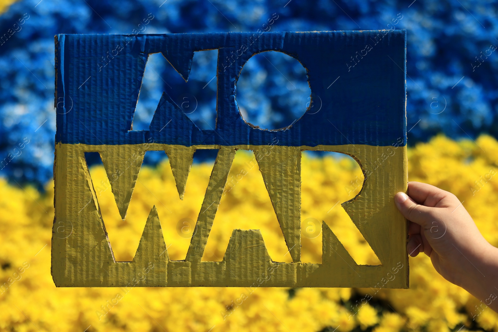 Photo of Woman holding poster in colors of Ukrainian flag with words No War and beautiful blue and yellow flowers on background, closeup