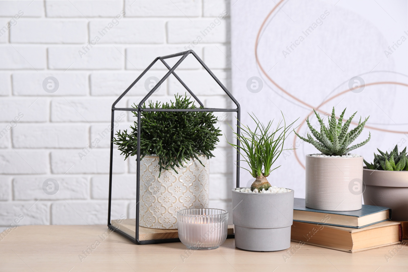 Photo of Different house plants in pots and decor on wooden table against white brick wall