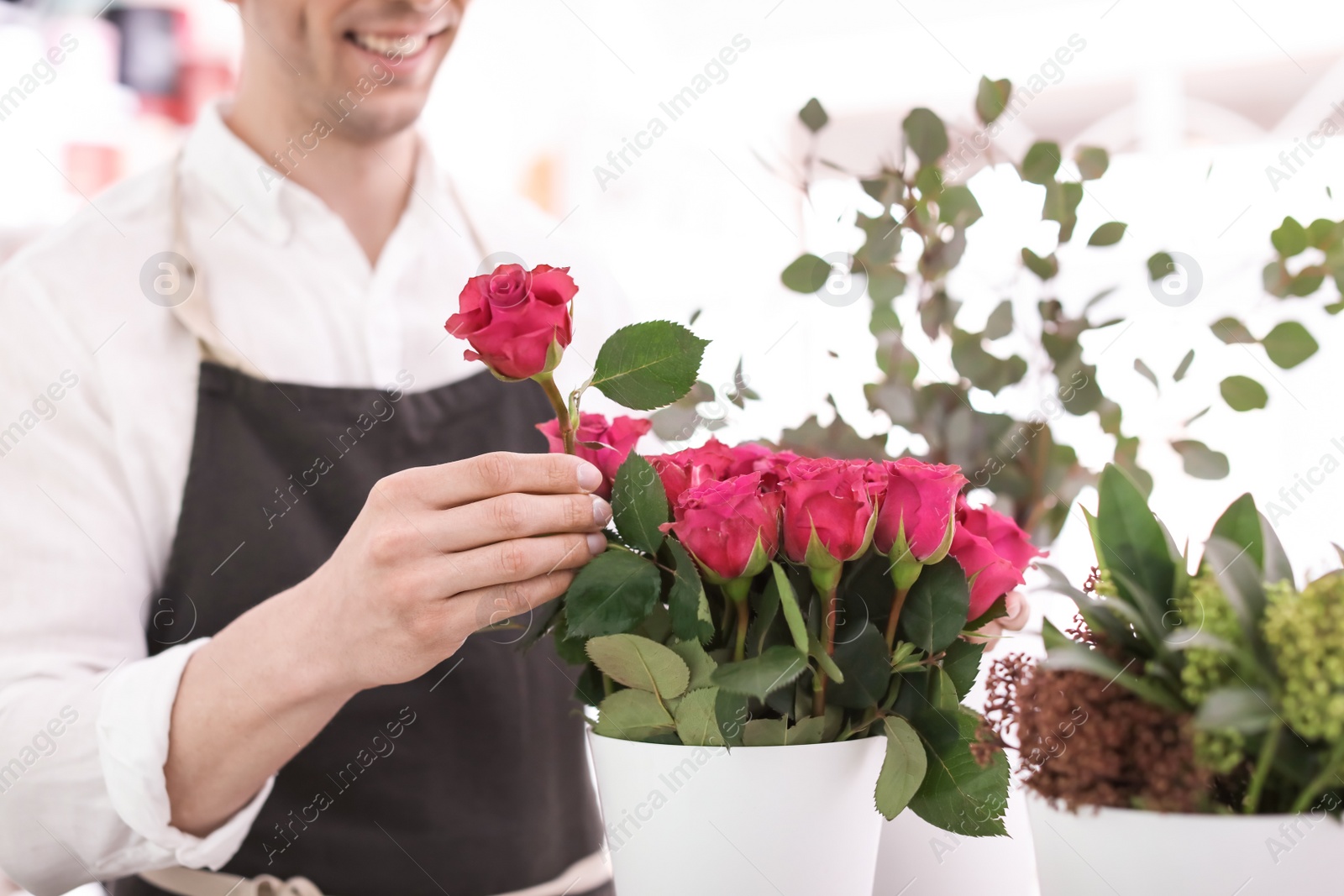 Photo of Male florist making beautiful bouquet in flower shop, closeup