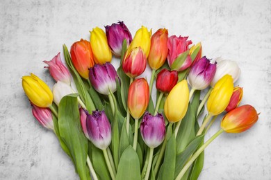 Beautiful colorful tulip flowers on white stone background, closeup