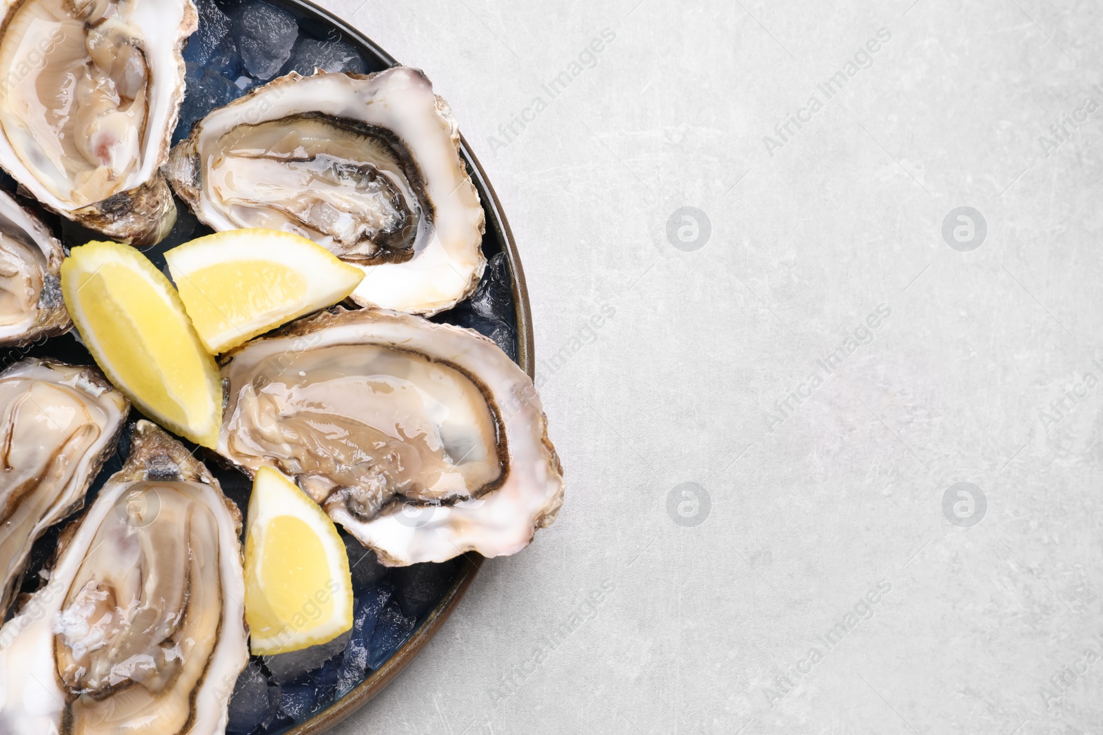 Photo of Delicious fresh oysters with lemon slices on light grey table, top view. Space for text