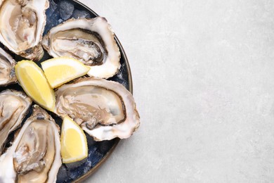 Delicious fresh oysters with lemon slices on light grey table, top view. Space for text