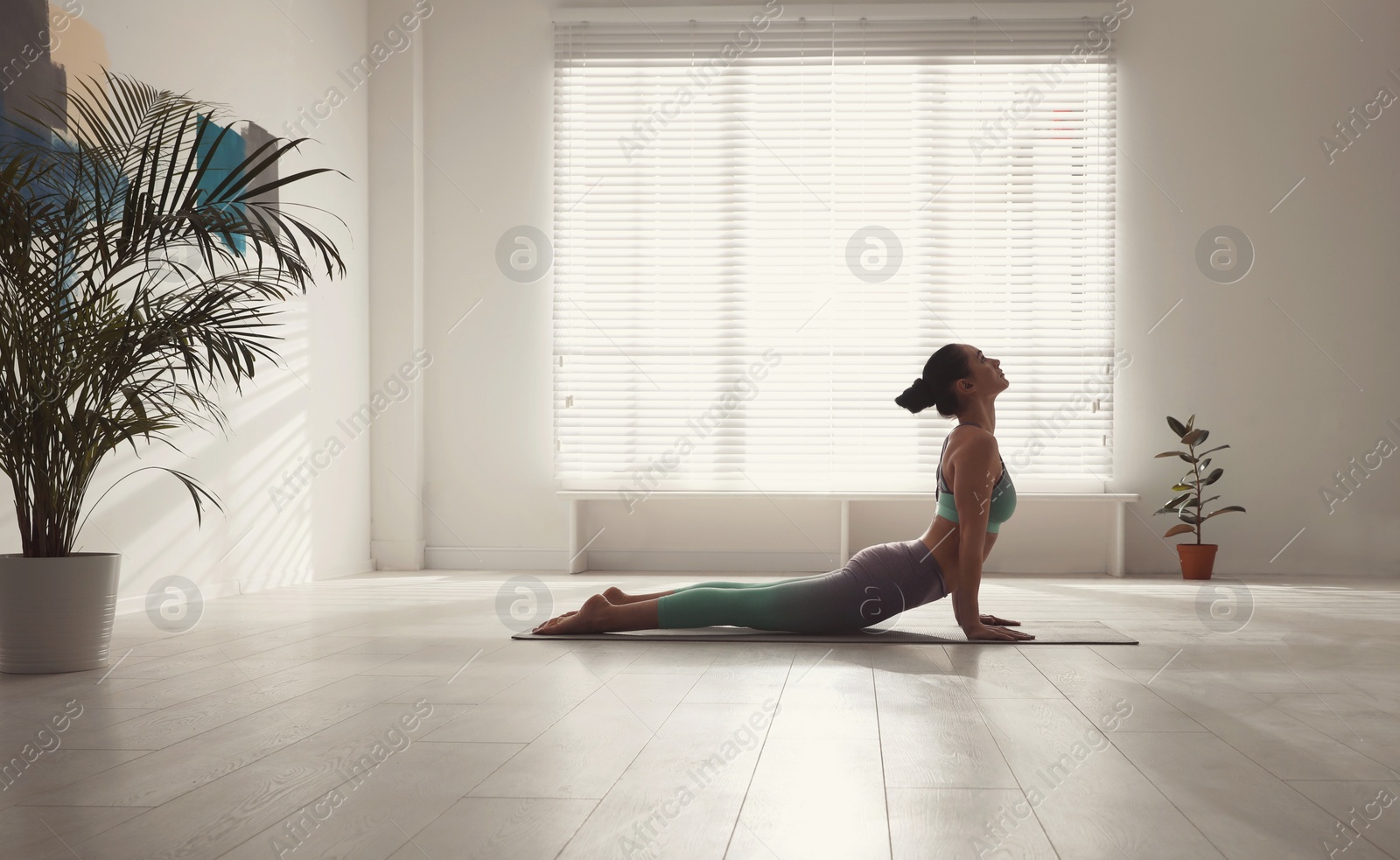 Photo of Woman practicing cobra asana in yoga studio. Bhujangasana pose