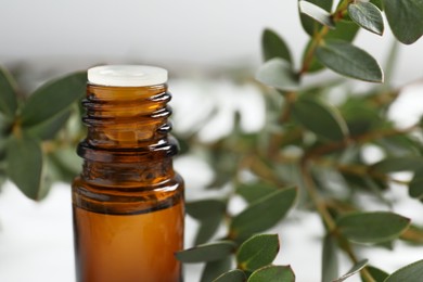 Photo of Bottle of eucalyptus essential oil and plant branches against blurred background, closeup. Space for text