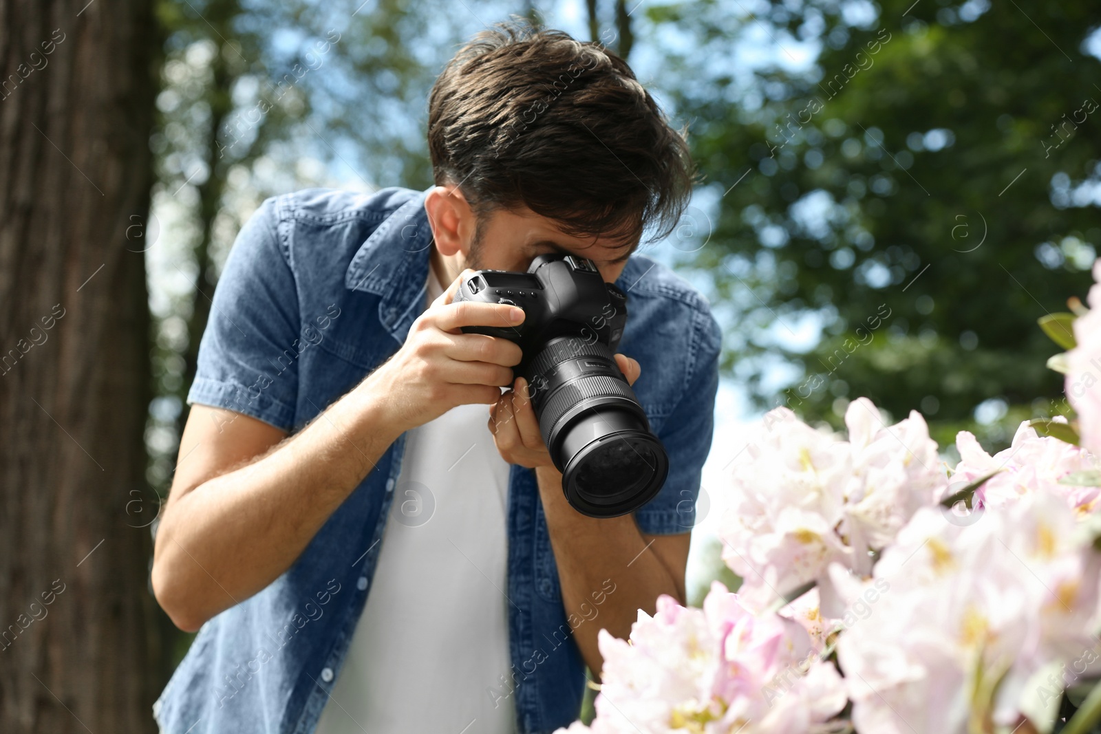 Photo of Photographer taking photo of blossoming bush with professional camera in park