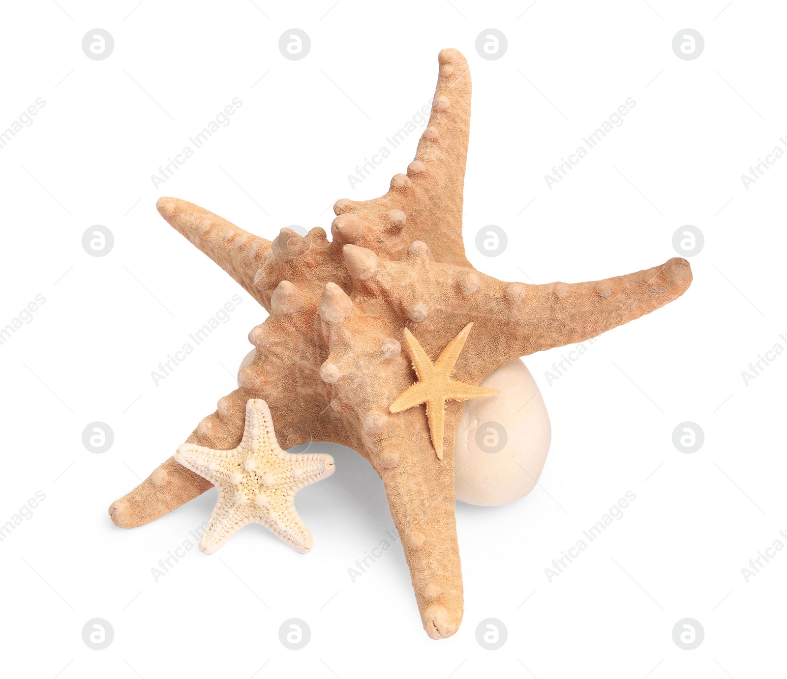 Photo of Many beautiful sea stars (starfishes) isolated on white