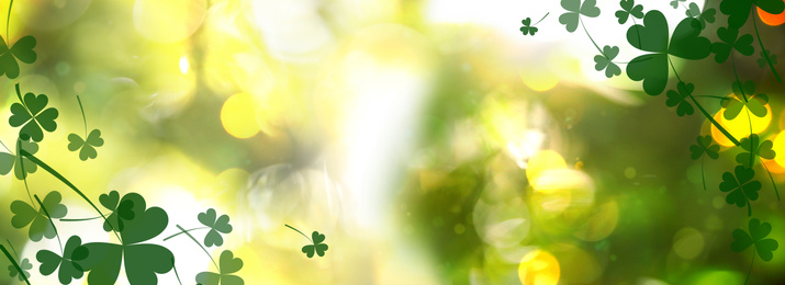 Image of Beautiful clover leaves on blurred green background. St Patrick's day