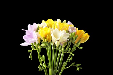 Bouquet of freesia flowers on black background