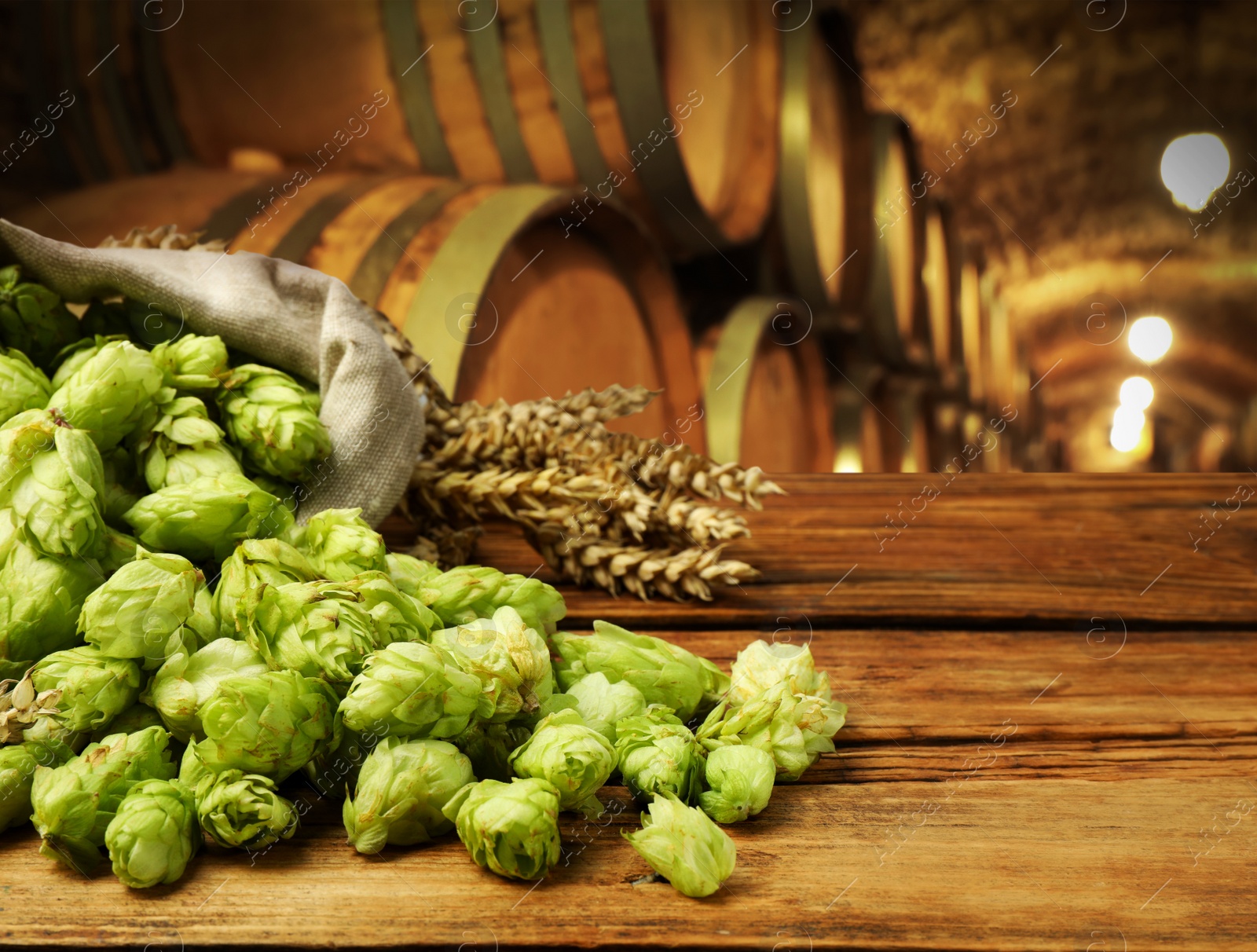 Image of Fresh hops and wheat spikes on wooden table in beer cellar, space for text