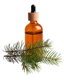 Photo of Bottle of pine essential oil on white background