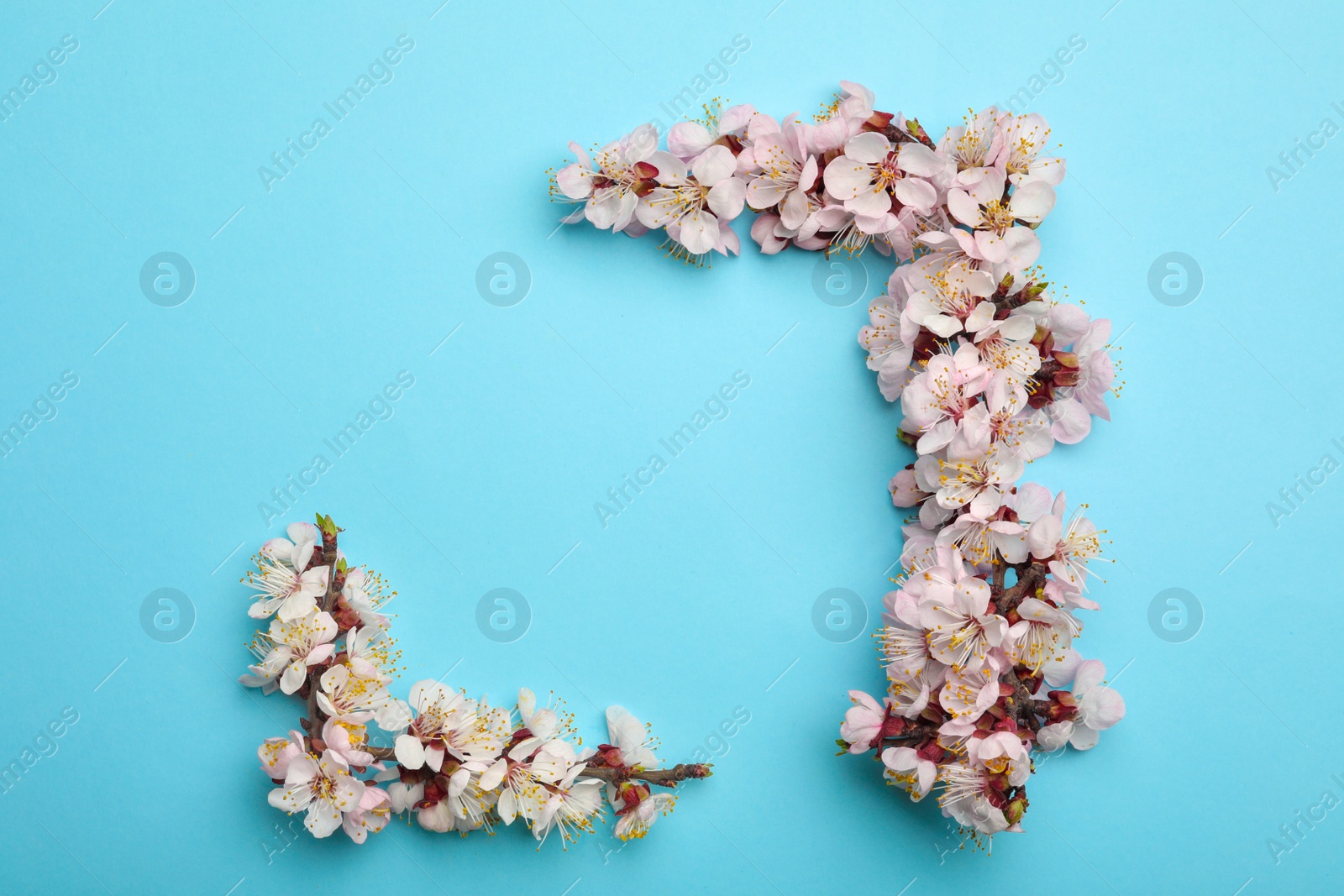 Photo of Beautiful blossoming branches with fresh spring flowers on color background, flat lay. Space for text