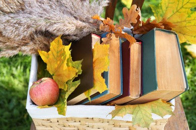 Photo of Different books, apple and maple leaves in wicker basket outdoors. Autumn atmosphere