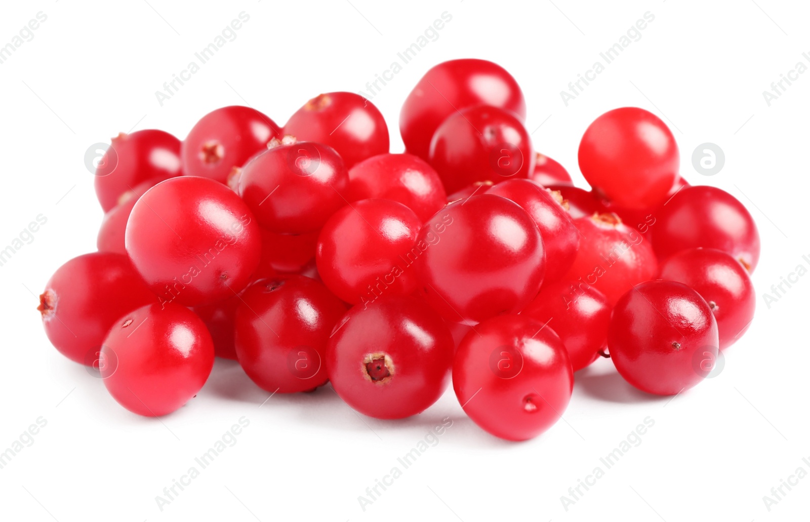 Photo of Pile of fresh ripe cranberries on white background