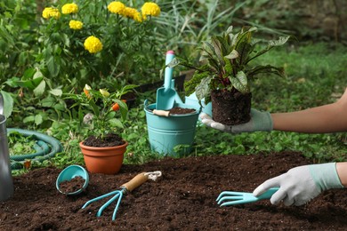 Photo of Woman transplanting plant into soil in garden, closeup