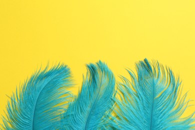 Beautiful light blue feathers on yellow background, top view. Space for text