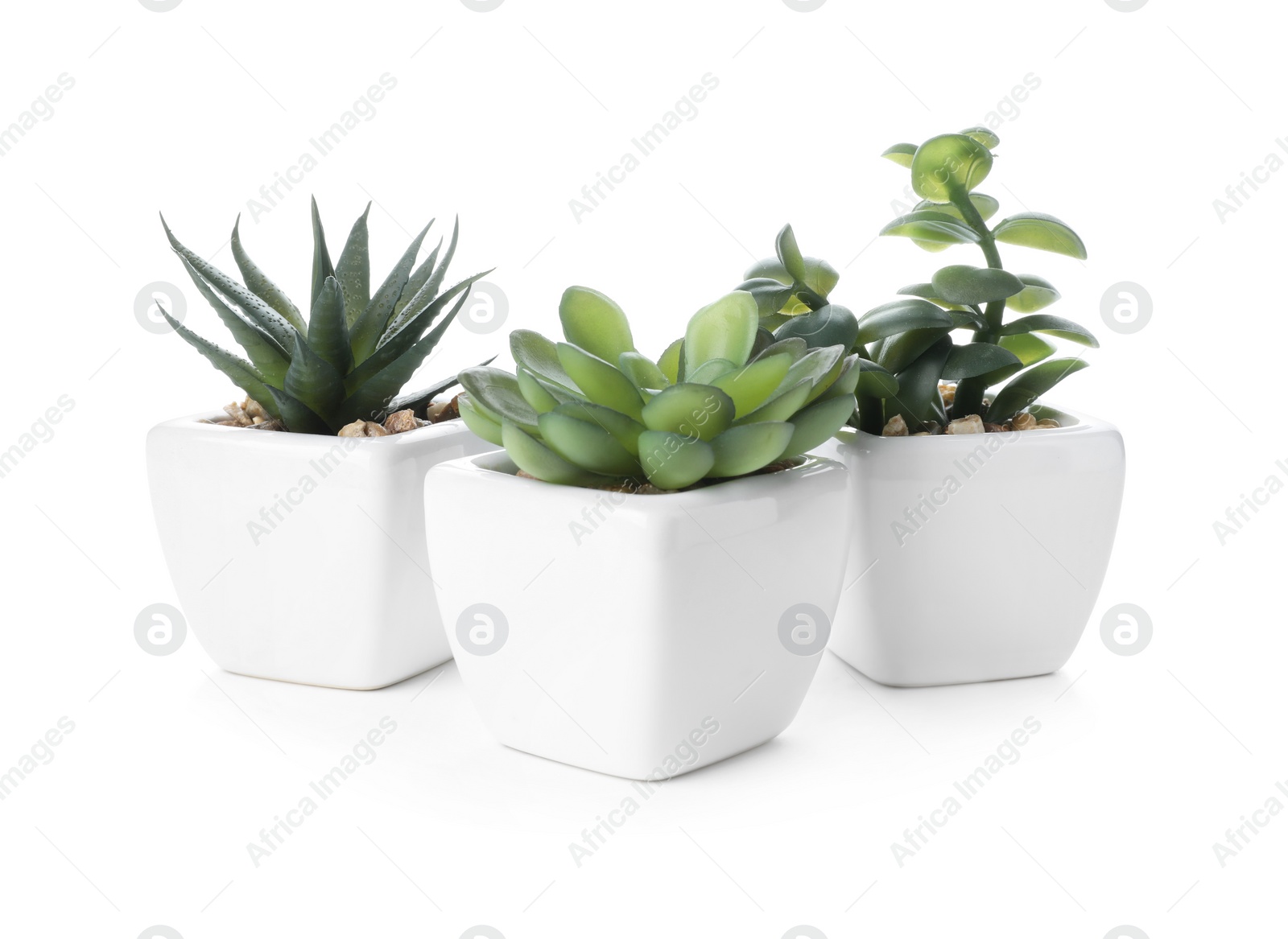 Photo of Beautiful artificial plants in flower pots isolated on white