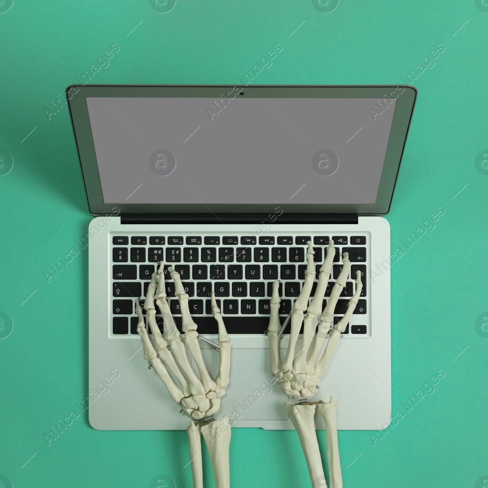 Photo of Human skeleton using laptop on green background, top view