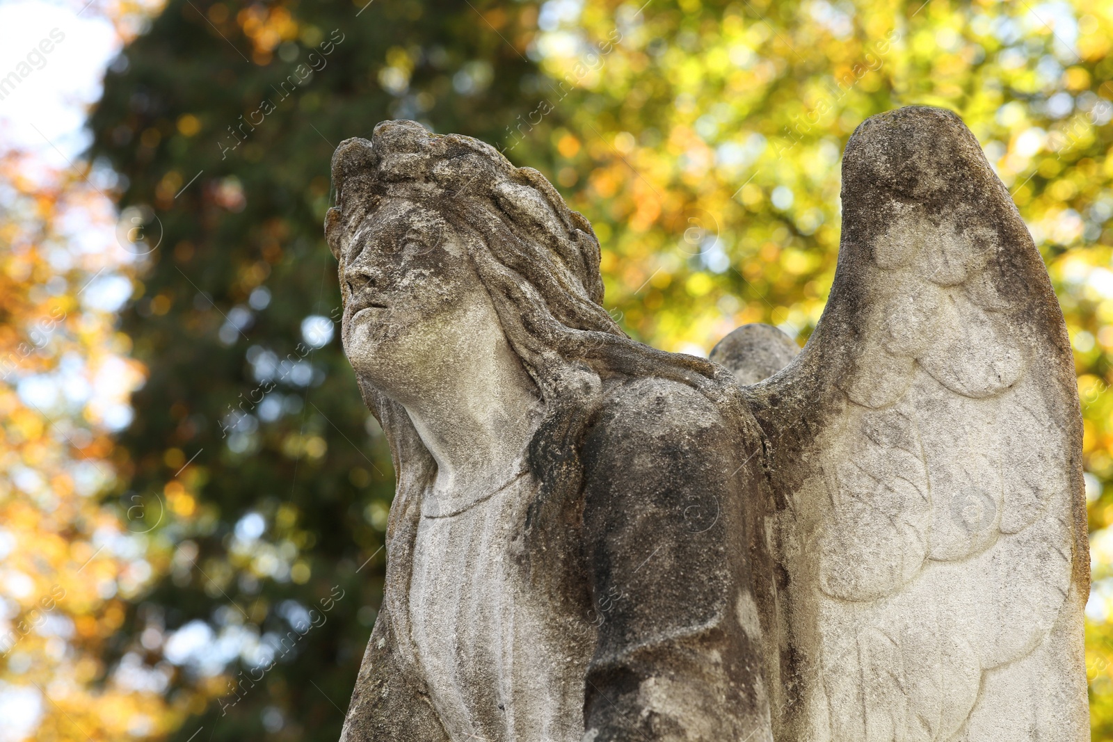 Photo of Beautiful statue of angel at cemetery, closeup. Religious symbol