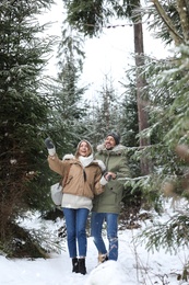 Photo of Couple in conifer forest on snowy day. Winter vacation