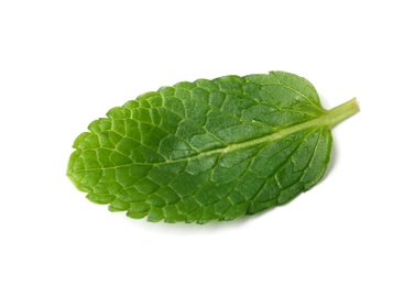 Photo of Leaf of fresh mint isolated on white