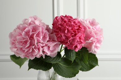 Vase with beautiful hortensia flowers near white wall