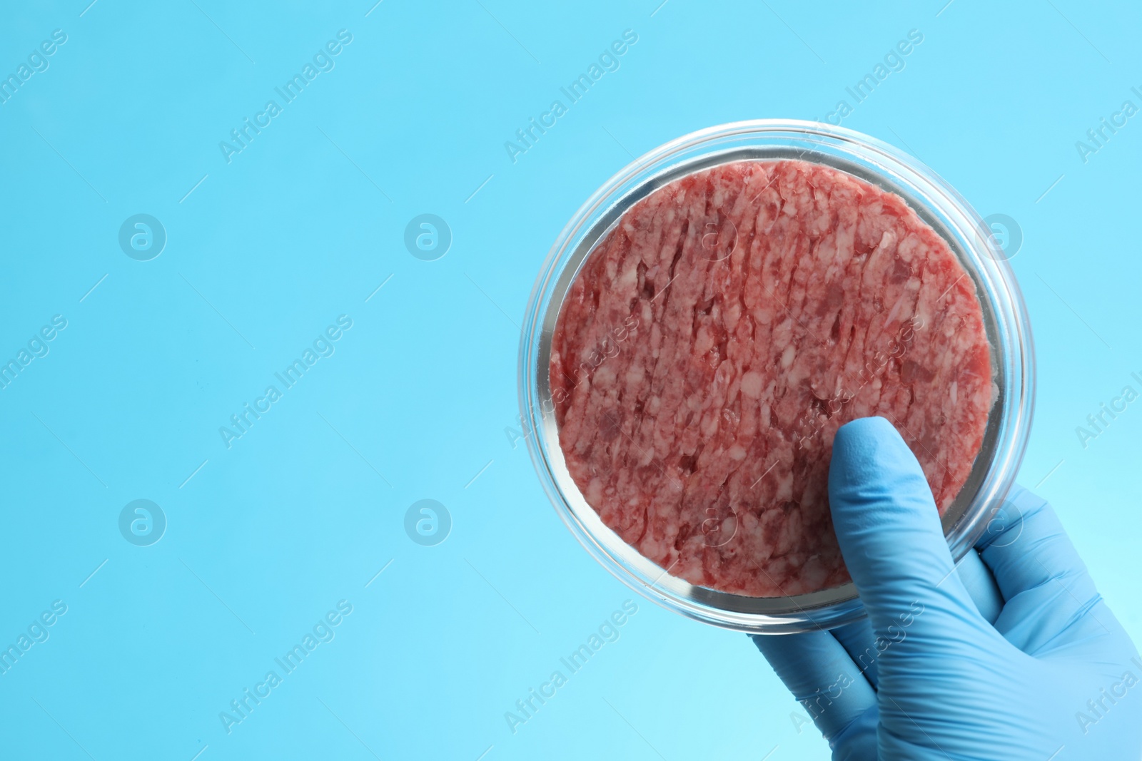 Photo of Scientist holding Petri dish with minced lab grown meat on light blue background, closeup. Space for text