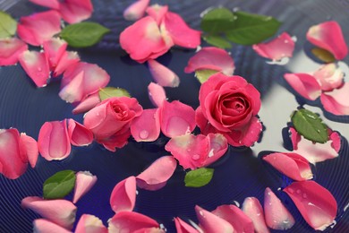 Photo of Pink roses and petals in water, closeup