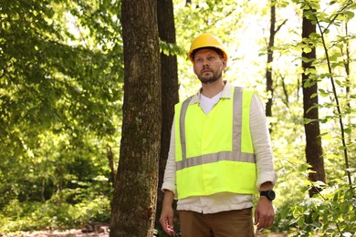 Forester in hard hat near tree in forest