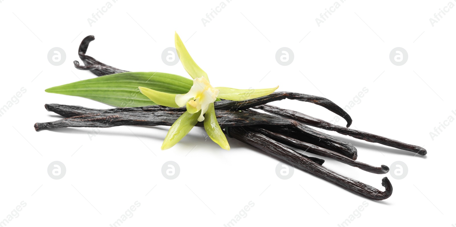 Photo of Vanilla pods, beautiful flower and green leaf isolated on white