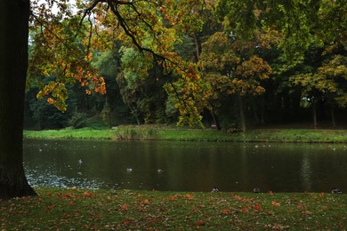 Photo of Beautiful view of green public city park with river on autumn day