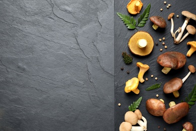 Photo of Different mushrooms, thyme and pepper on grey background, flat lay. Space for text