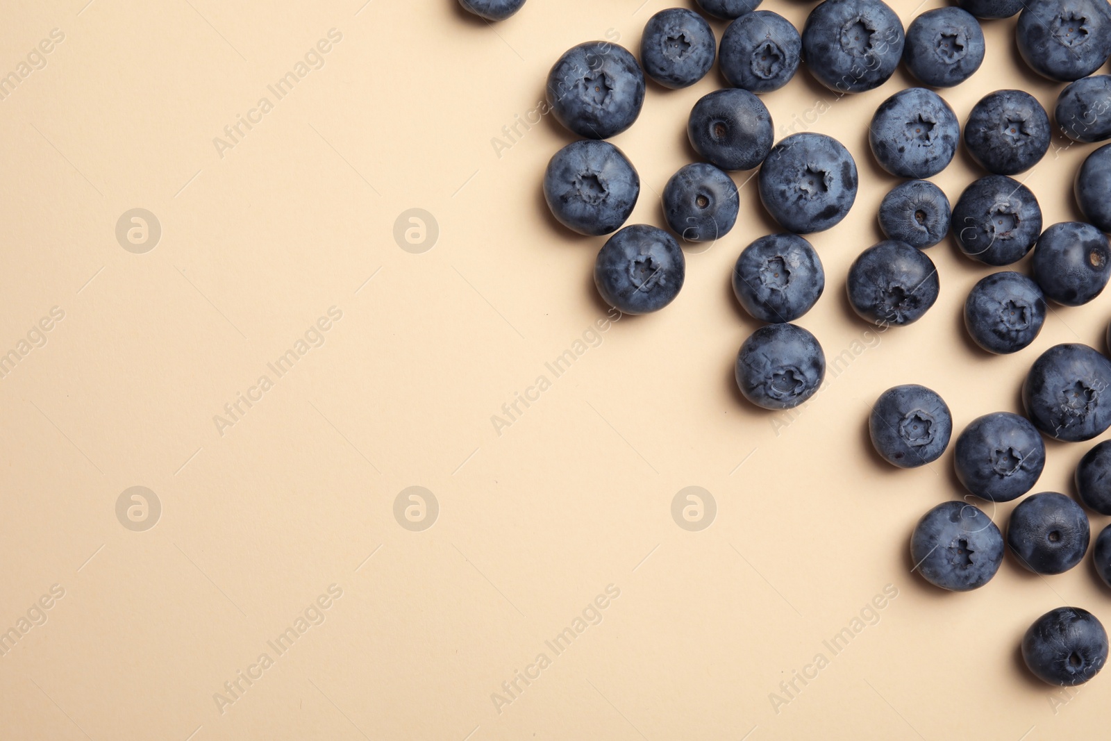 Photo of Flat lay composition with tasty blueberry and space for text on color background