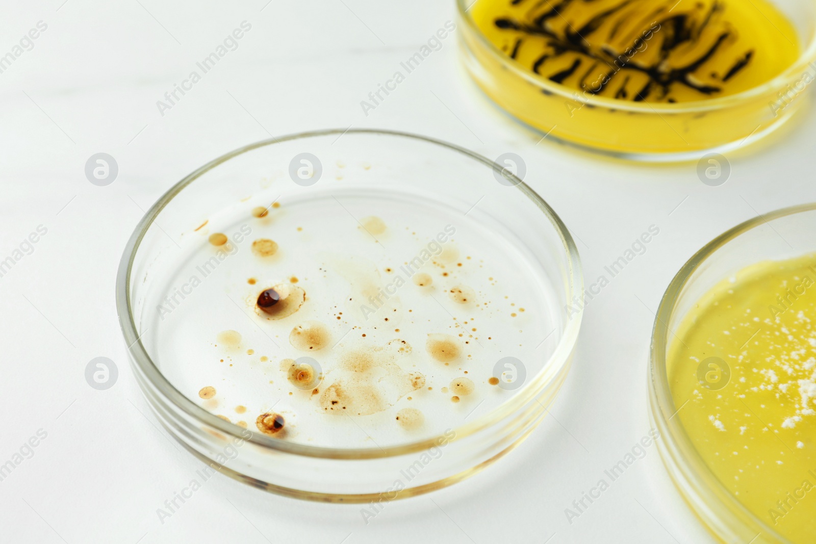 Photo of Petri dishes with different bacteria colonies on white background, closeup